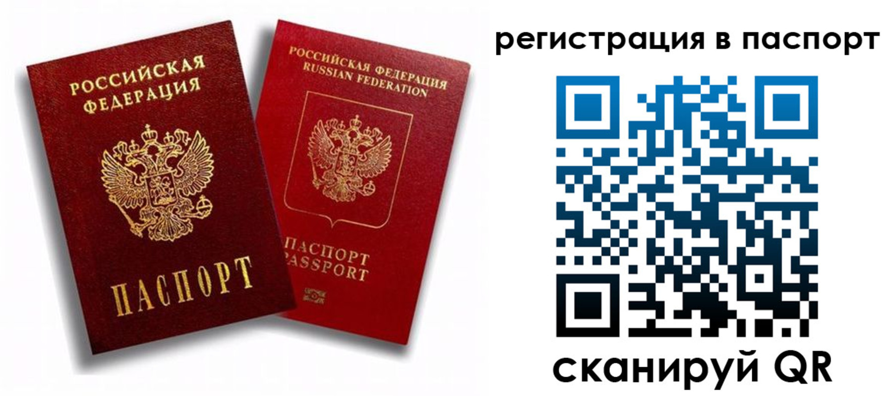 прописка 2025 в Красногорске